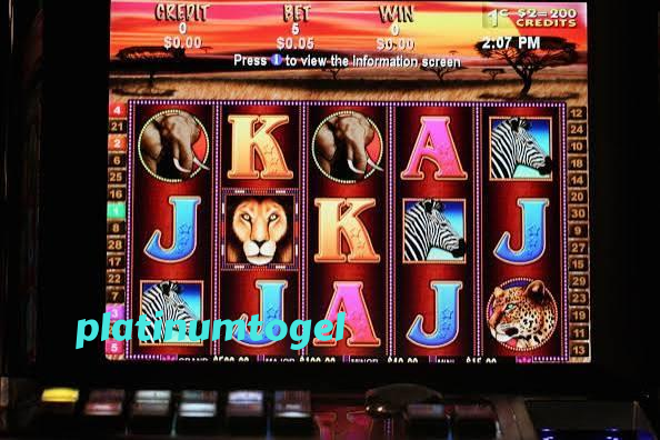 platinumtogel Live Dealer Tables at Your Fingertips